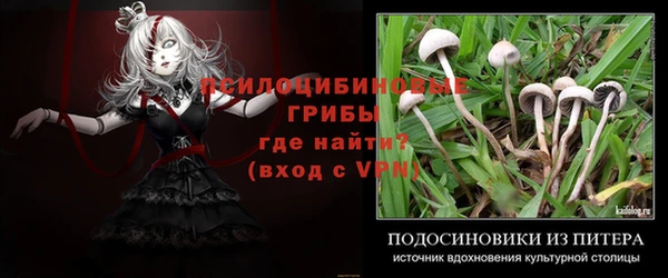 молекула духа Нефтегорск