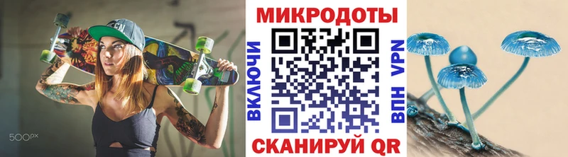 как найти   Сорочинск  Псилоцибиновые грибы Psilocybe 
